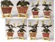 Pendulum Buffalo Louis XV gilt bronze lacquered wood Chinese candelabra 18th
