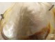 Mother-of-pearl shell young girl flowers convict work New Caledonia 19th century