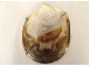 Mother-of-pearl shell young girl flowers convict work New Caledonia 19th century