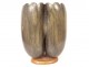 Coco buttocks sculpture seed sea coconut tree Seychelles collection