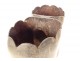 Coco buttocks sculpture seed sea coconut tree Seychelles collection