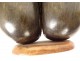 Coco buttocks sculpture seed sea coconut tree Seychelles collection