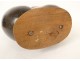 Coco buttocks sculpture seed sea coconut tree Seychelles collection