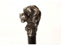 Antique cane with silver-plated metal handle, poodle dog head, wooden shaft, 19th century
