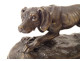 Pierre-Jules Mène bronze sculpture of a pointing hunting dog, 20th century