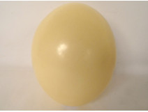 Decorative ostrich egg, collectible, curiosities, 20th century
