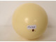 Decorative ostrich egg, collectible, curiosities, 20th century
