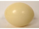 Decorative ostrich egg, collectible, curiosities, 20th century