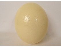 Decorative ostrich egg, collectible, curiosities, 20th century