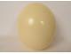 Decorative ostrich egg, collectible, curiosities, 20th century