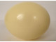 Decorative ostrich egg, collectible, curiosities, 20th century