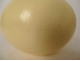 Decorative ostrich egg, collectible, curiosities, 20th century