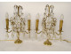 Pair of 2-light gilt bronze chandeliers with cut crystal and flower tassels, 20th century