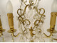 Pair of 2-light gilt bronze chandeliers with cut crystal and flower tassels, 20th century
