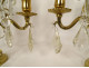 Pair of 2-light gilt bronze chandeliers with cut crystal and flower tassels, 20th century