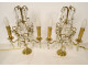 Pair of 2-light gilt bronze chandeliers with cut crystal and flower tassels, 20th century