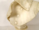 Alabaster sculpture bust of Emperor Napoleon I, bicorne, frock coat, 19th century