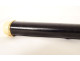 Dandy smoking evening cane in blackened wood, 18K solid gold, eagle head, ADP, 19th century