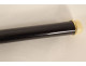 Dandy smoking evening cane in blackened wood, 18K solid gold, eagle head, ADP, 19th century