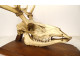 Large hunting trophy, slaughter of deer, horns, wooden shield, 19th century
