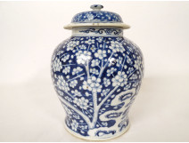 Small covered ginger jar with blue and white Chinese porcelain, prunus flowers, 19th century