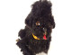 Antique mechanical toy black poodle dog with key wind-up, 20th century