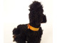 Antique mechanical toy black poodle dog with key wind-up, 20th century