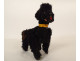 Antique mechanical toy black poodle dog with key wind-up, 20th century
