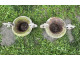 Pair of Medici vases, cast iron garden basin, 19th century
