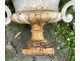 Pair of Medici vases, cast iron garden basin, 19th century