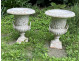 Pair of Medici vases, cast iron garden basin, 19th century