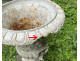 Pair of Medici vases, cast iron garden basin, 19th century