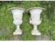 Pair of Medici vases, cast iron garden basin, 19th century