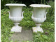 Pair of Medici vases, cast iron garden basin, 19th century