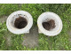 Pair of Medici vases, cast iron garden basin, 19th century