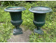 Pair of Medici vases, cast iron garden basin, 19th century