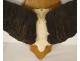Hunting trophy massacre horns African buffalo Burkina Faso Ougarou 20th century
