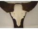 Hunting trophy massacre horns African buffalo Burkina Faso Ougarou 20th century