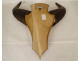 Hunting trophy massacre horns African buffalo Burkina Faso Ougarou 20th century