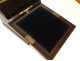 Writing desk in blackened wood with gilded brass marquetry Tahan Paris Napoleon III 19th century