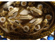 Reliquary medallion gilded brass rhinestones Saints Queen Valentin Robert XIXth