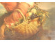 HST painting by Giuseppe Mazzolini, young girl with basket fleeing the storm, 19th century