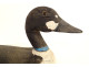 Duck decoy, polychrome carved wood, late 19th century folk art