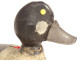 Duck decoy, polychrome carved wood, late 19th century folk art