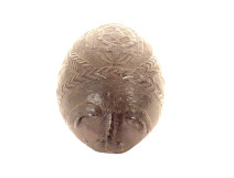 Half coconut carved head character flowers convict work 19th century