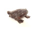 Okimono statuette weight lettered calligraphy bronze toad Japan 19th century