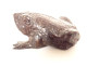 Okimono statuette weight lettered calligraphy bronze toad Japan 19th century