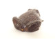 Okimono statuette weight lettered calligraphy bronze toad Japan 19th century