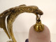 Gilded bronze lamp eagle Charles Ranc tulip glass paste Art Deco 20th century