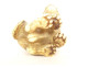 Netsuke carved ivory tiger signed Unsho Hakuryu Japan Edo 19th century